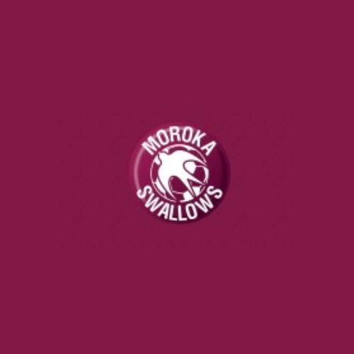morokaswallows - our partner, proviging accurate data on betting sites in South Africa